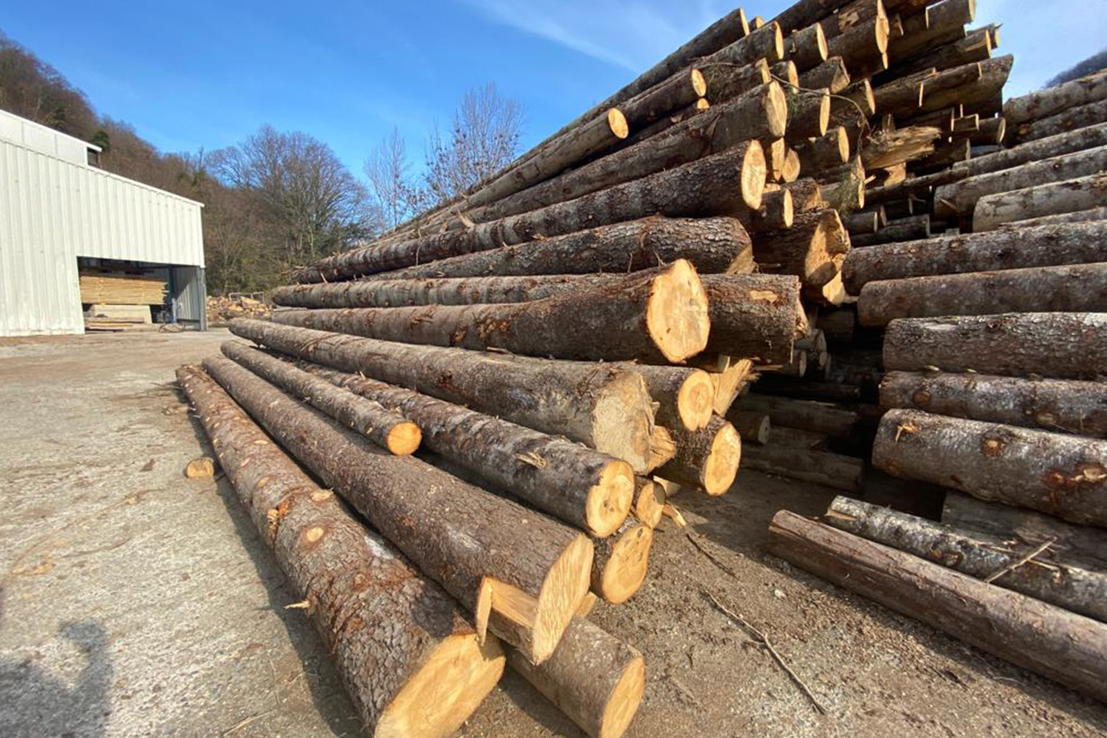 Ahşap Palet Seçerken Nelere Dikkat Etmelisiniz?